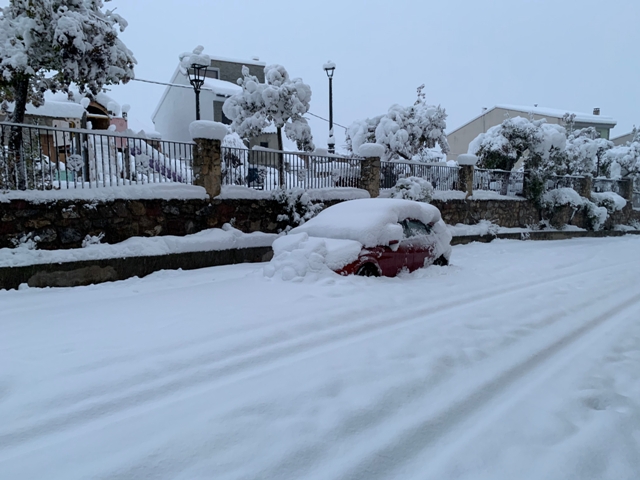 Zona del parque. Temporal filomena (febrero 2021)